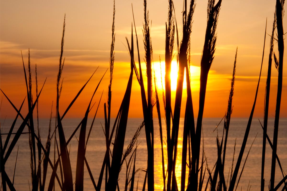 Sonnenuntergang in goldenen Farben mit glitzerndem Meer im Hintergrund im Urlaub in einer Ferienwohnung in Ahrenshoop.