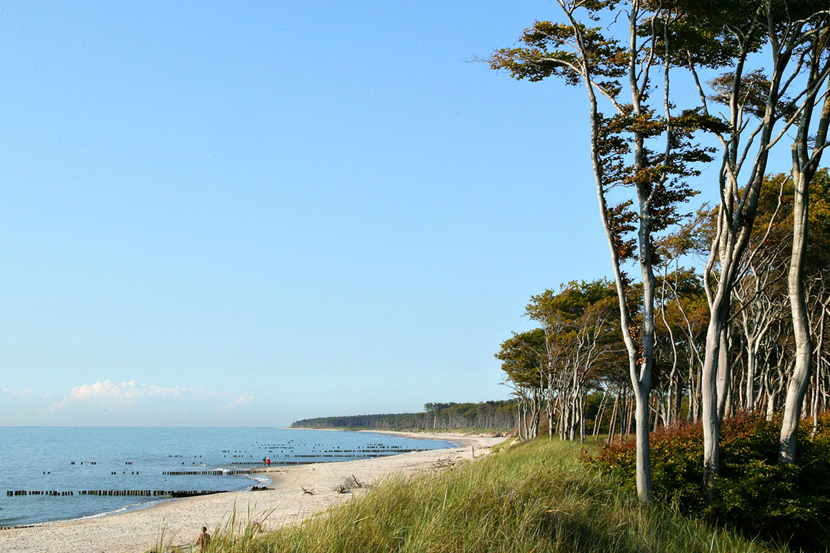 Das Hotel Künstlerquartier Seezeichen liegt direkt an der Ostsee umgeben von der Natur Rügens.